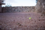Rokinon 50mm-42.jpg