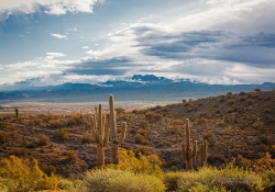 Four Peaks - Rokinon 50mm f/1.4