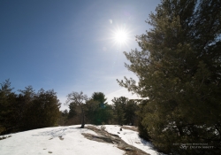 New Rokinon Images-14