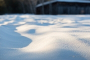 Cold Walk Photos-3