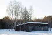 Cold Walk Photos-4