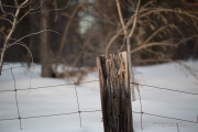 Cold Walk Photos-7