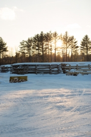 Cold Walk Photos-8