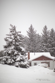 Snow Day-2