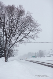 Snow Day-4
