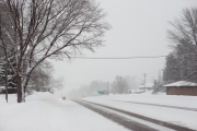 Snow Day-5