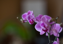 Beautiful Rendering-3