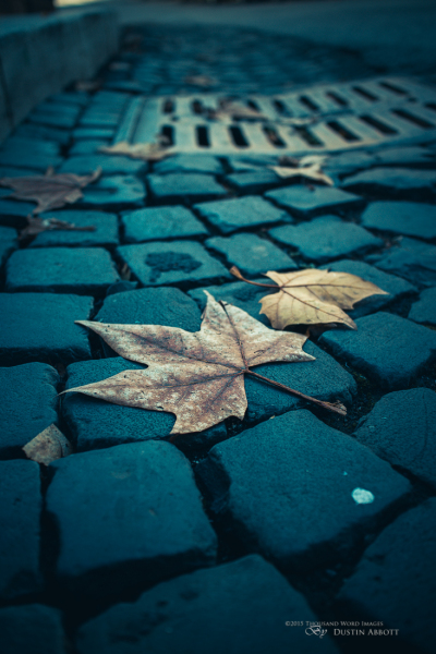 Autumn in Roma