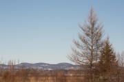 Final Samples-5.jpg