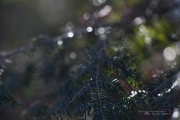General Images-7.jpg
