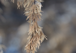 Final Samples-3.jpg