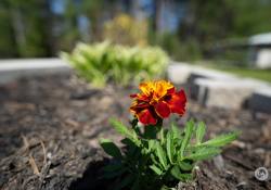 35-More-Bokeh-3