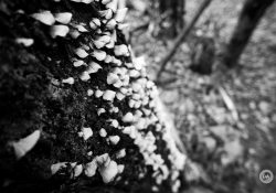 35-More-Bokeh