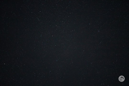 Samyang-AF-135-Samples-36