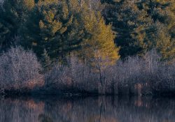 36-Landscape-3