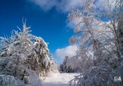 20-Landscapes-2