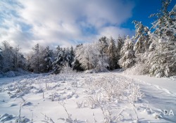 20-Landscapes-3