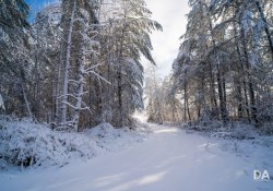 20-Landscapes-4