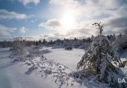 20-Landscapes-6