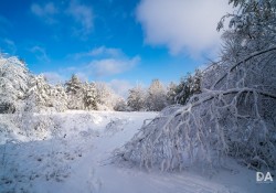 20-Landscapes-8