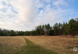 36-Landscapes-2