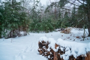 Freezing Rains-4