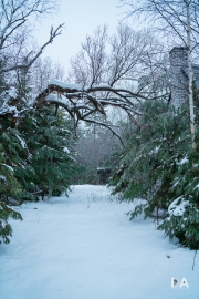 Freezing Rains-6