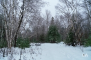 Freezing Rains-9