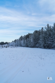 Frosty-2