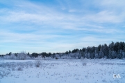 Frosty