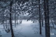 Winter Walk-11