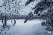 Winter Walk-12