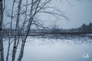 Winter Walk-13