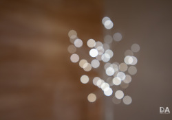 08-Bokeh-Highlights-2