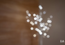 08-Bokeh-Highlights-3