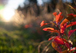 38-Flare-3