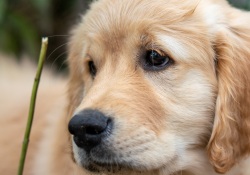 19-Real-World-Sharp-2