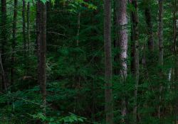 23-Stopped-Down-Real-World-2