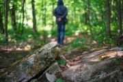 Forest-Lea-5
