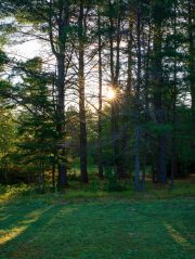 Morning-Bokeh-3