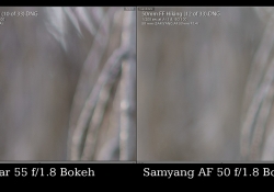 Bokeh Comparison 1 Bokeh Comparison 1