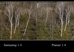 Contrast Comparison Contrast Comparison