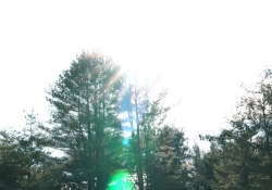 Samyang Flare
