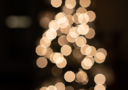 15-Bokeh-3