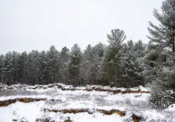 39-Landscape