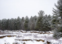 39-Landscape
