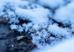 41-Snow-Bokeh