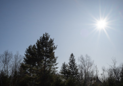 43-Flare-2