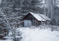 49-Snowy