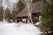 In-the-Woods-16